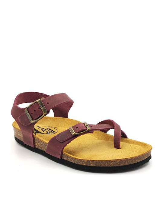 Plakton Leather Women's Flat Sandals Anatomic i...