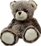 Teddy Plush 16 cm