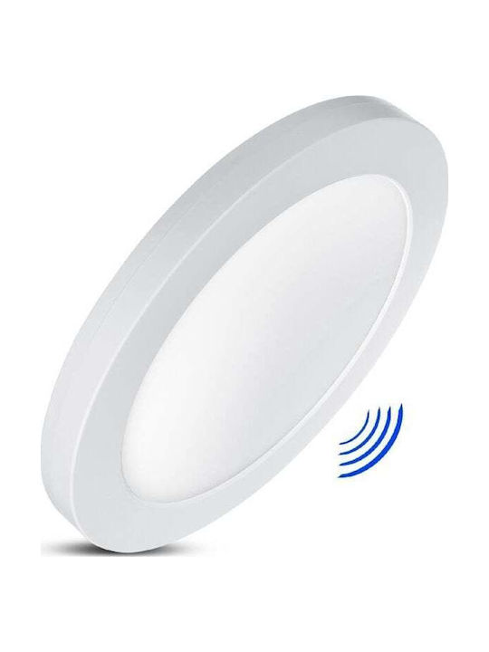 Maclean Energy Πλαφονιέρα Οροφής με Ενσωματωμένο LED σε Λευκό χρώμα 24εκ.