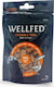 Pet Interest Wet Food for Cats in Pouches with Chicken and Tuna 50gr