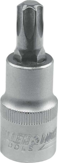 Dedra Walnut with Torx Head and Socket 1/2'' T25