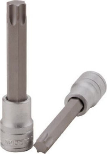 Teng Tools Spritzfilter Wasserhahn Bit-Stecknuss mit Torx-Bit und Antriebsvierkant 1/2'' Größe T45x100mm 1Stück