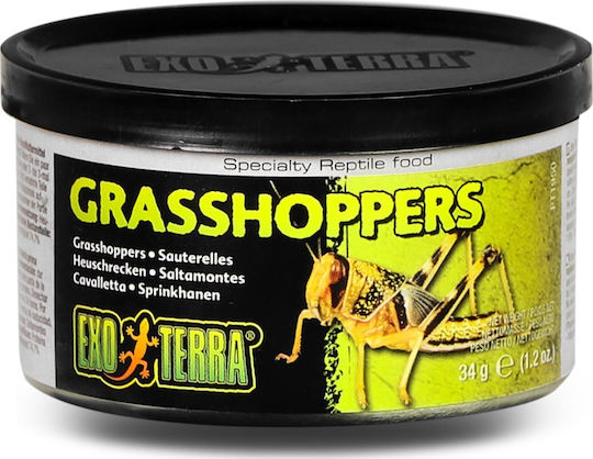 Exo Terra Hrana pentru reptile EX-9501 34gr