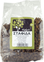 Βιο Αγρός Raisin Golden 1000gr