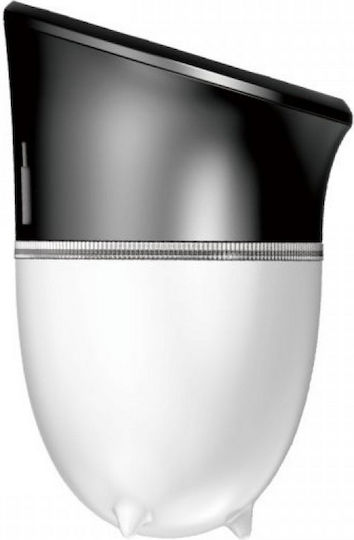 Spot Light Επιτοίχιο Ηλιακό Φωτιστικό 2W 130lm με Φυσικό Λευκό Φως 4000K IP54