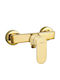 Deante Mixing Shower Shower Faucet Gold