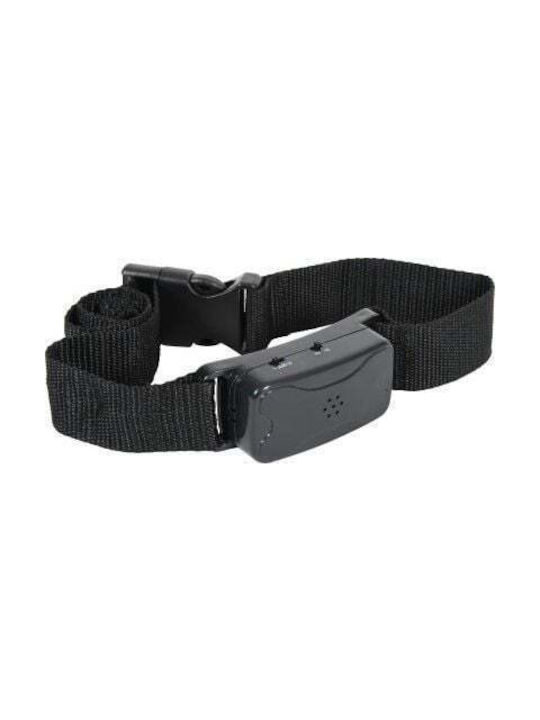 Zolux Dog Collar Small