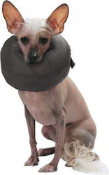 Grande Finale Dog Collar