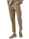 Bizzaro Men's Trousers coffee