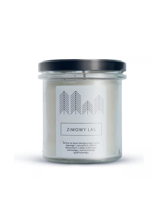 Hagi Winter Forest Soy Candle 230g