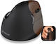 Evoluent VerticalMouse 4 Small Ασύρματο Εργονομικό Ποντίκι Καφέ