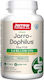 Jarrow Formulas Jarro-dophilus Plus Fos Probiotice 200 capsule veget