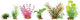 Zolux Gemüsedekorationen Mix 6 Stück Set 4 352133