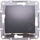 Schneider Electric Knopf Glocke in Gray Farbe SDN0800370