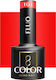 Activeshop Semi-Permanent Nail Polish F04 5gr 1pcs