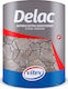 Vitex Delac Impregnation Varnish Solvent Based Colorless Satin 2.5lt