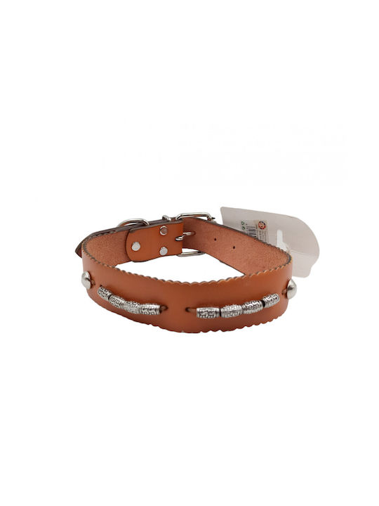 Rolinger Dog Collar 55cm