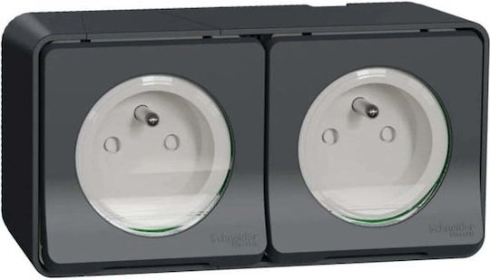 Schneider Electric Power Socket Gray 1pcs