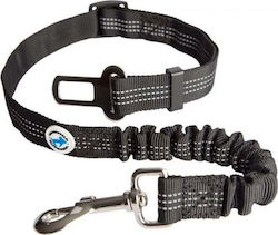 All For Dogs Dog Leash Lead Strap Black