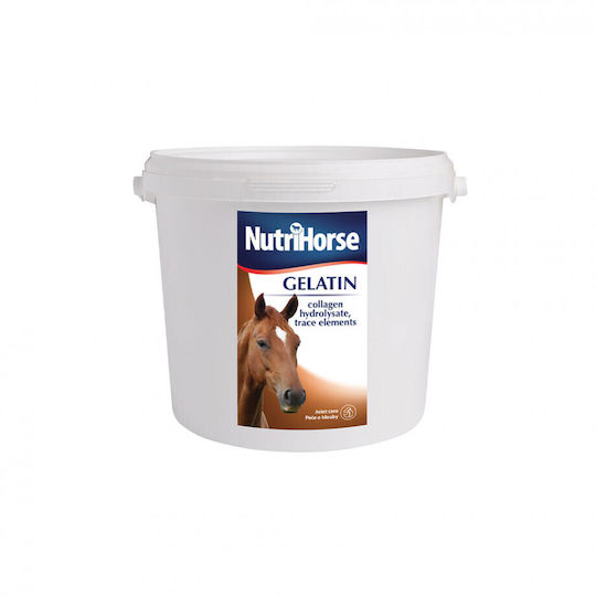 NutriHorse NutriHorse Dietary Supplement 1kg