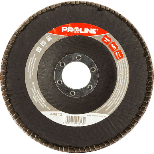 Proline Schleifscheibe Aluminium και von Holz 125mm