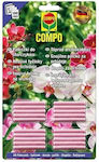 Compo Düngemittel Sticks für Orchideen Biologischer Anbau 20Stück