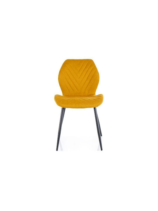 Chair Dining Room Krzes Yellow