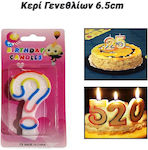 Birthday Candles 6.5cm Number ?