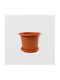 Casserole Dish Tray 33x26 Cm Brown Plastic