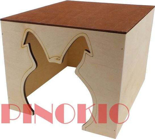 House A Rabbit A Small Apartment Roof