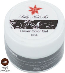AGC Gel 034 8gr
