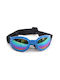 Denik Pets Blue Dog Sunglasses