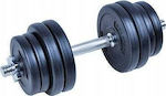 Dumbbell 1x15kg