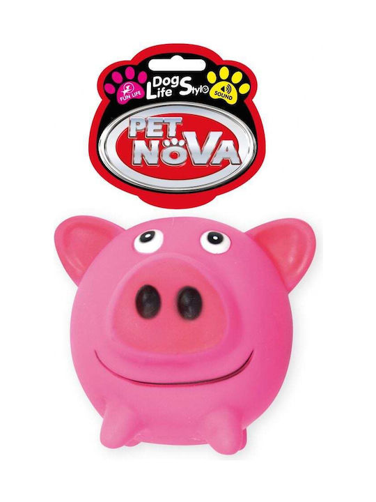 Pet Nova Vin Pig Ball 10cm