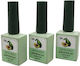 QBD Nutrition Grundierung für Gel 15ml