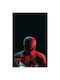 Postere Spider Man din hârtie 20x30cm