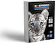 Emerson Photocopier Paper Tiger 80g 500 Sheets A5