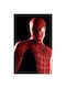 Walls Афиш Spider-man 70x100см