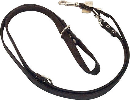 Ikaros Pet Οδηγος Εκπαιδευσης Λαδιου 2χ220cm Καφε