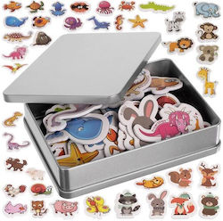 Kruzzel Set of Magnets 40pcs