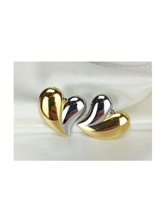 Stainless Steel Earrings Bicolor