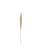 Artificial Decorative Branch Beige 120cm Fylliana