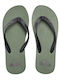 Quiksilver Molokai Core Ανδρικά Flip Flops Πράσινα