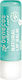 Benecos Lip Balm Mint 4,5gr Bio
