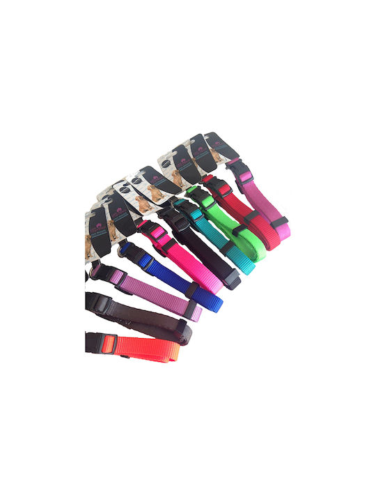 Guler reglabil pentru câini Pet Camelot 16mm * 30cm * 45cm Gri