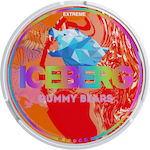 Iceberg Дъвки за дъвчене 1бр