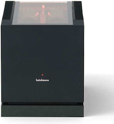 Brinkmann MkII Tub Amplificator de putere Amplificator Hi-Fi Stereo