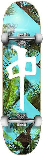 Red Dragon Palm Beach Complete Shortboard Τιρκουάζ