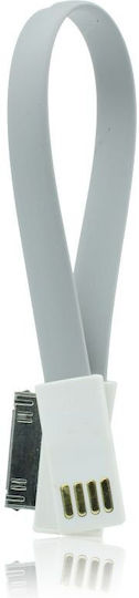 Apple Μαγνητικό USB-A to Lightning Cable Γκρι