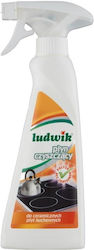 Ludwik Cleaner Scraper 250ml 1pcs